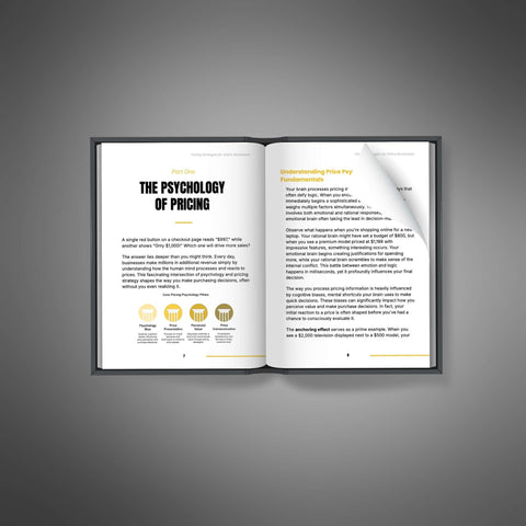 Pricing Strategies for Online Businesses - eBook