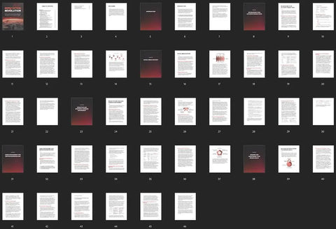 Reputation Revolution - eBook