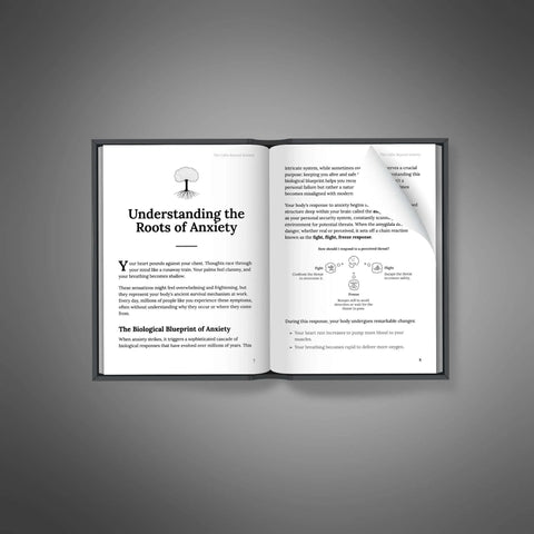 The Calm Beyond Anxiety - eBook