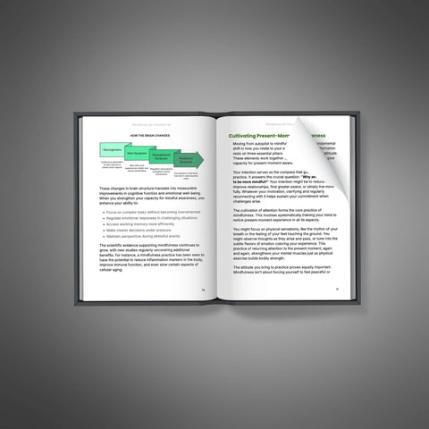 Mindfulness for Everyday Life - eBook
