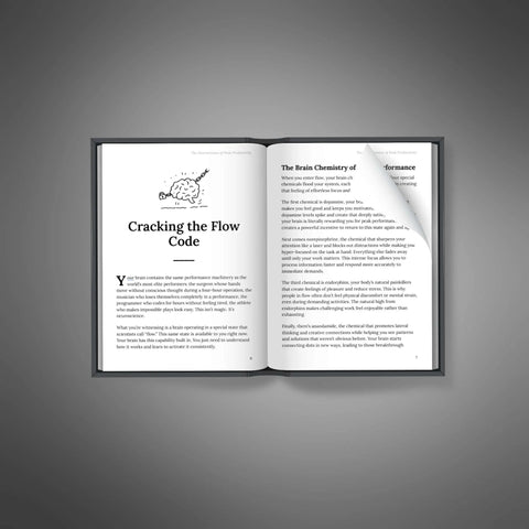 The Neuroscience of Peak Productivity - eBook