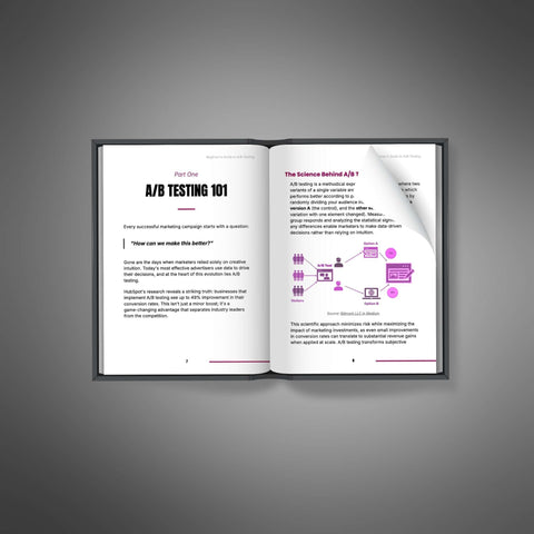Beginner’s Guide to A/B Testing - eBook