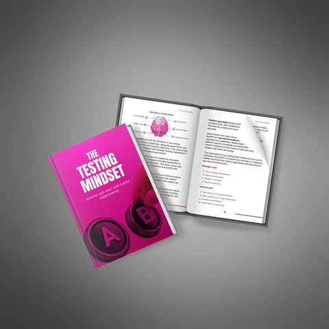 The Testing Mindset - eBook