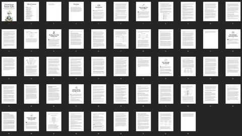 Prioritize Your Life - eBook