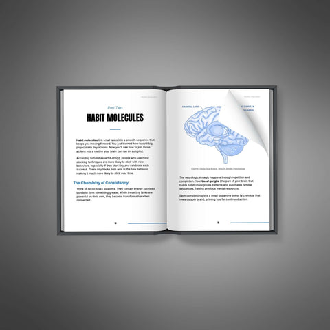Atomic Execution - eBook