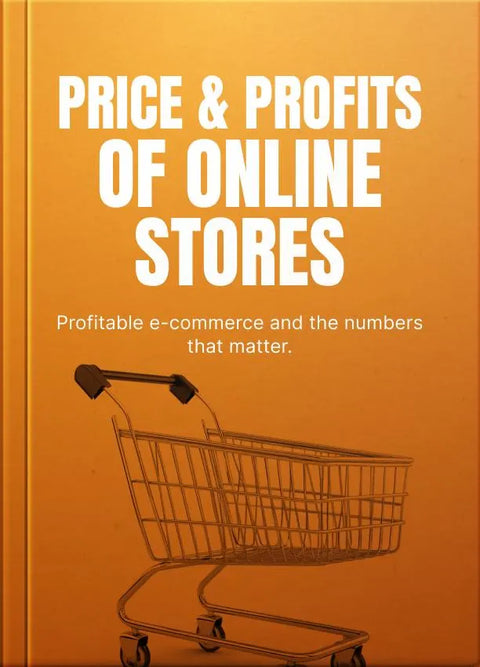 Price and Profits of Online Stores - eBook