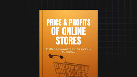 Price and Profits of Online Stores - eBook